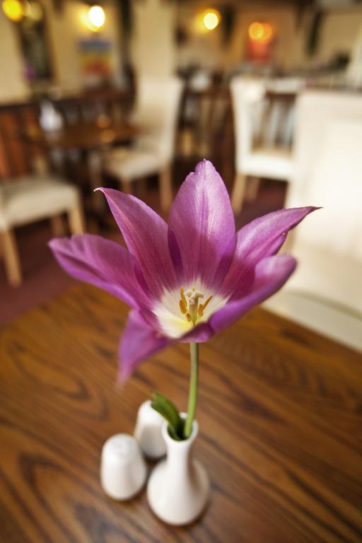 Longfrie Inn Saint Saviour エクステリア 写真